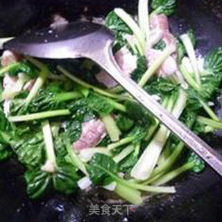 虾蛄炒塔苦菜的做法步骤：7