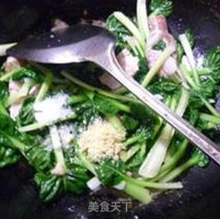 虾蛄炒塔苦菜的做法步骤：8