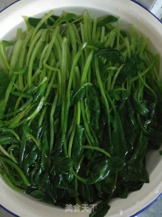 胡萝卜炒菠菜的做法步骤：5