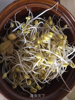 去湿黄豆芽排骨汤的做法步骤：3