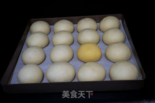 奶黄小餐包------一次发酵即可超级好吃【附奶黄馅儿做法】的做法步骤：16