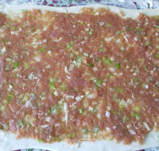 鲜香肉饼的做法步骤：15