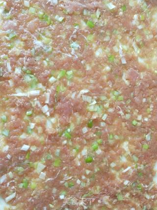 鲜香肉饼的做法步骤：16
