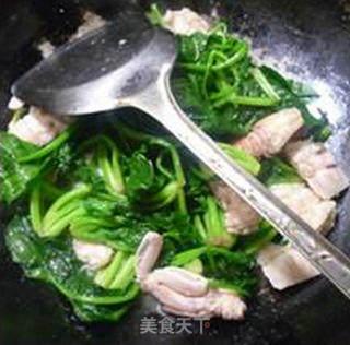 虾蛄炒菠菜的做法步骤：8