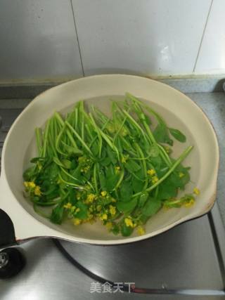 田园菜心拌豆芽的做法步骤：3