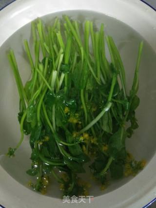 田园菜心拌豆芽的做法步骤：4