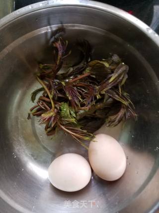 香椿鸡蛋饼的做法步骤：3