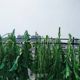 自制梅干菜的做法步骤：5