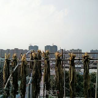 自制梅干菜的做法步骤：11