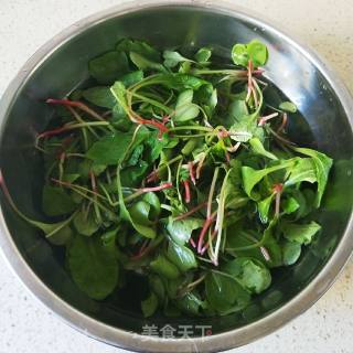 凉拌萝卜苗的做法步骤：1