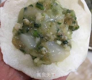 “野菜”荠菜白菜扇贝丁饺子的做法步骤：25