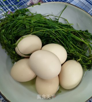 荠菜花煮鸡蛋的做法步骤：4