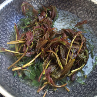 香椿芽拌豆腐的做法步骤：2