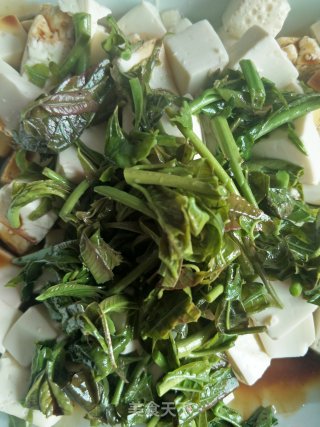 椿芽拌豆腐的做法步骤：4