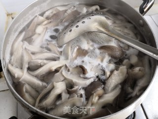孜然辣炒平菇的做法步骤：3