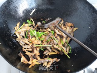 孜然辣炒平菇的做法步骤：10