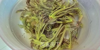 椿芽烘蛋的做法步骤：3