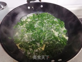 枸杞叶蛋汤的做法步骤：5