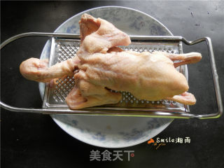 砂锅烤乳鸽的做法步骤：1