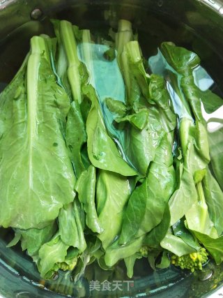 蒜蓉甜菜苔的做法步骤：1
