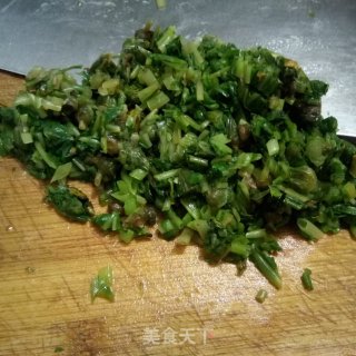 #野菜集#    蒲公英酥饼的做法步骤：5
