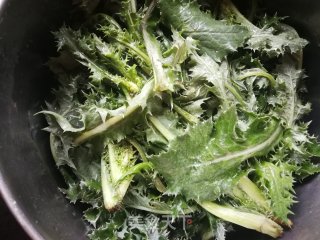 蒸花叶滇苦菜的做法步骤：1
