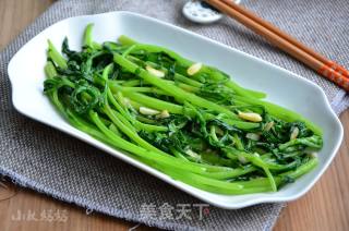 蒜香蓬蒿菜的做法步骤：7
