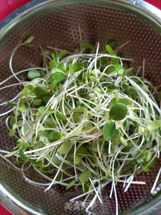 香椿苗拌豆腐的做法步骤：1