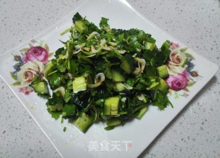 爽口虾皮拌香菜的做法步骤：10
