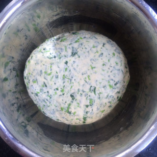 苜蓿馒头的做法步骤：4