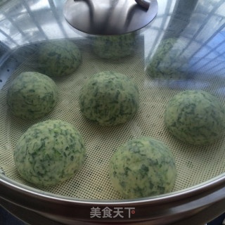 苜蓿馒头的做法步骤：10