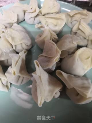 荠菜肉末鲜虾小馄饨的做法步骤：10