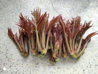 香椿鸡蛋饼的做法步骤：2