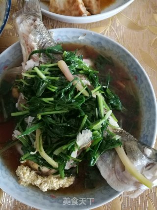 清蒸鲈鱼的做法步骤：8