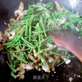 野芹菜梗炒肉的做法步骤：6