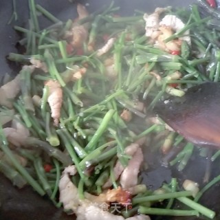 野芹菜梗炒肉的做法步骤：7