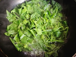 蒜蓉丝瓜尖儿的做法步骤：3