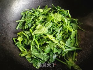 蒜蓉丝瓜尖儿的做法步骤：5