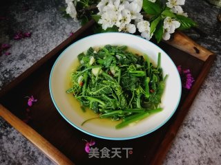 蒜蓉丝瓜尖儿的做法步骤：8
