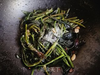 焯炒紫背菜的做法步骤：7