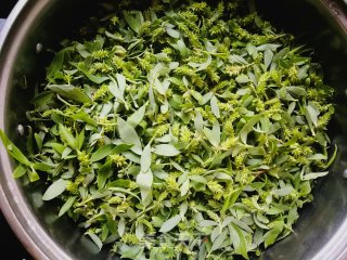 自制干柳梭儿(柳絮)的做法步骤：1