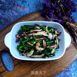 油菜芯炒香菇的做法步骤：9