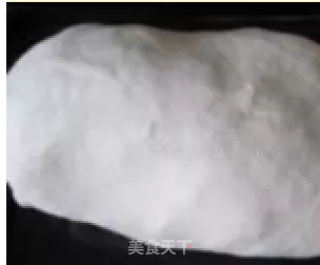 叫花鸡的做法步骤：19