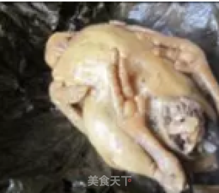 叫花鸡的做法步骤：22