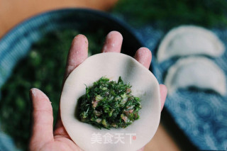 茴香饺子的做法步骤：2