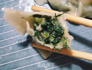 茴香饺子的做法步骤：4