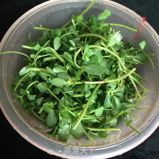 蒜炒野菜的做法步骤：1