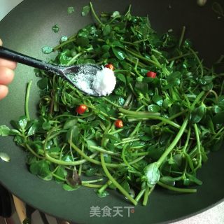 蒜炒野菜的做法步骤：5