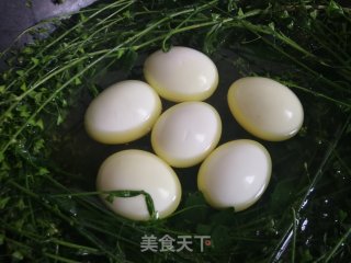 荠菜花煮鸡蛋的做法步骤：6