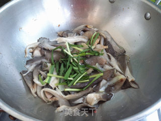 韭菜炒凤尾蘑的做法步骤：8